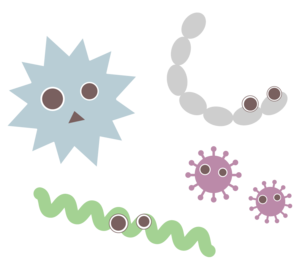歯周病菌イメージ